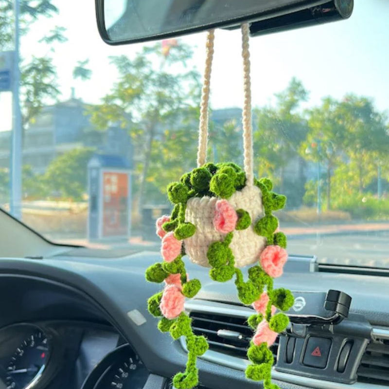 Plant Car Decoration