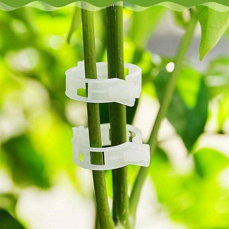 Plant Fixing Clips (10 pcs)