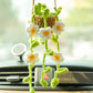 Plant Car Decoration