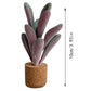 Car Vent Succulent Potted Plants (2pcs)