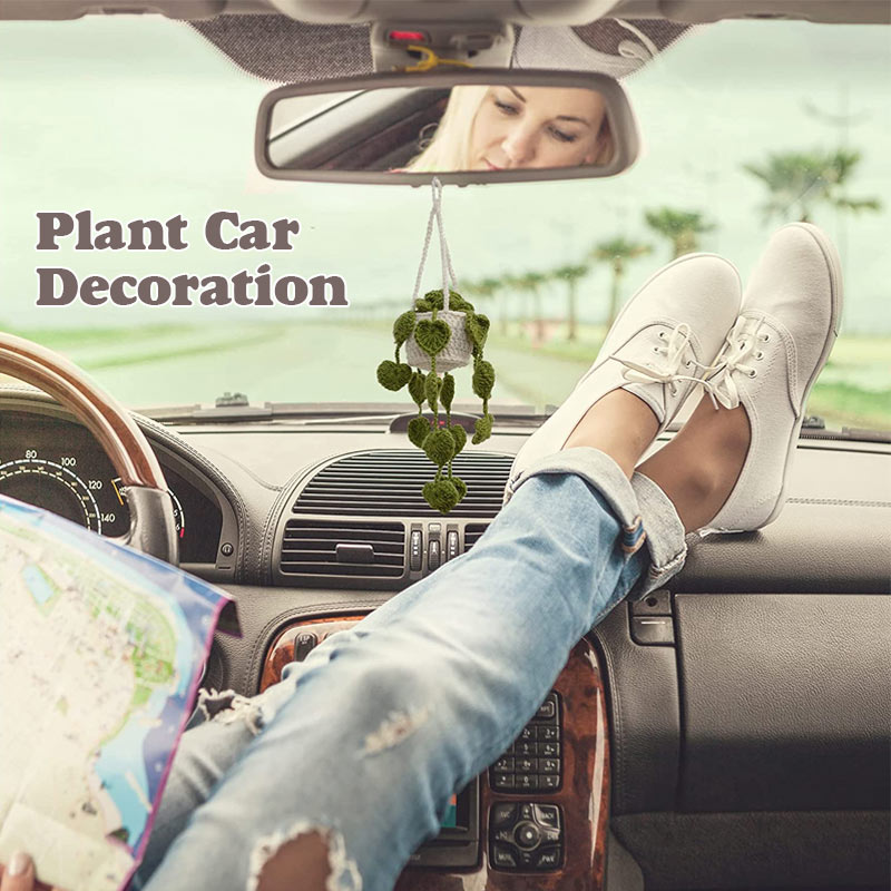 Plant Car Decoration