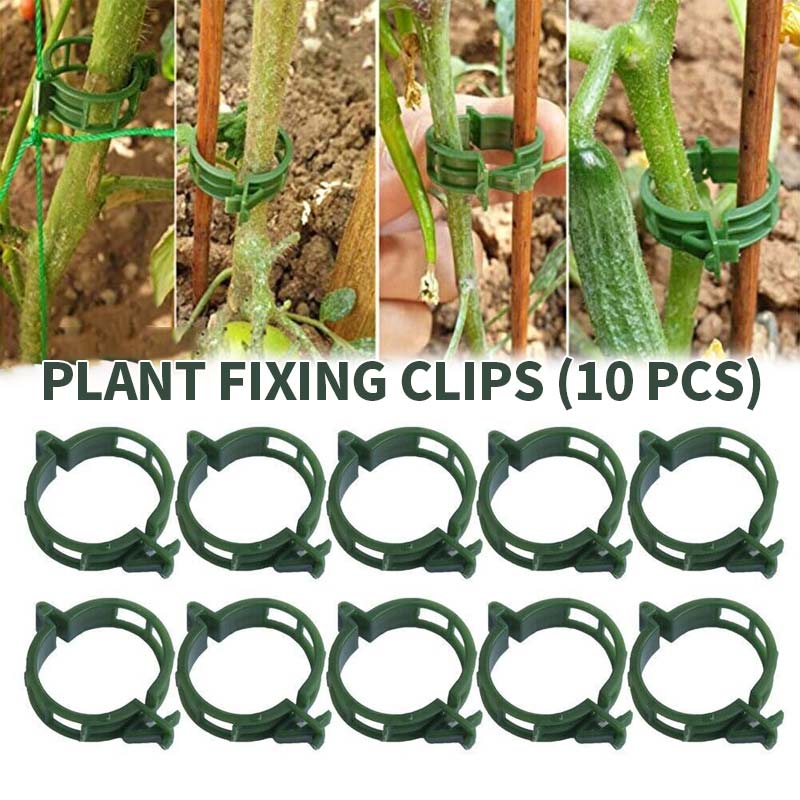 Plant Fixing Clips (10 pcs)