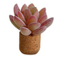 Car Vent Succulent Potted Plants (2pcs)