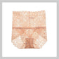 High Waist Lace Panties