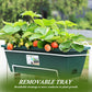 Rectangular Water Storage Flower Pot