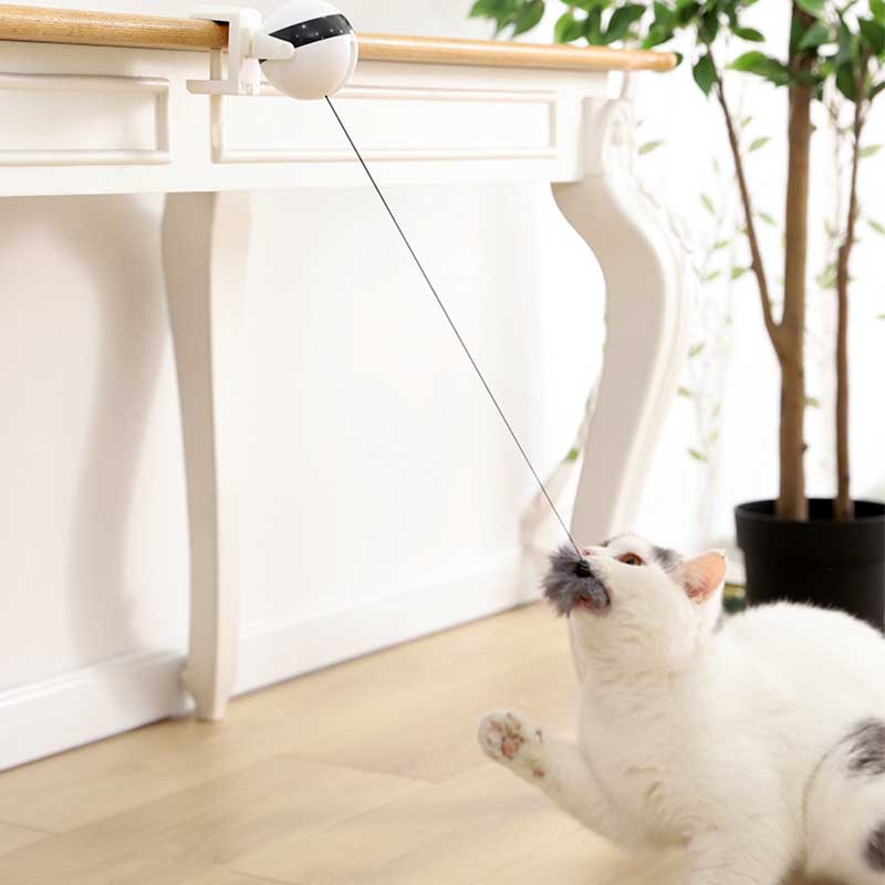 Cat Toy Electric Lifting Ball