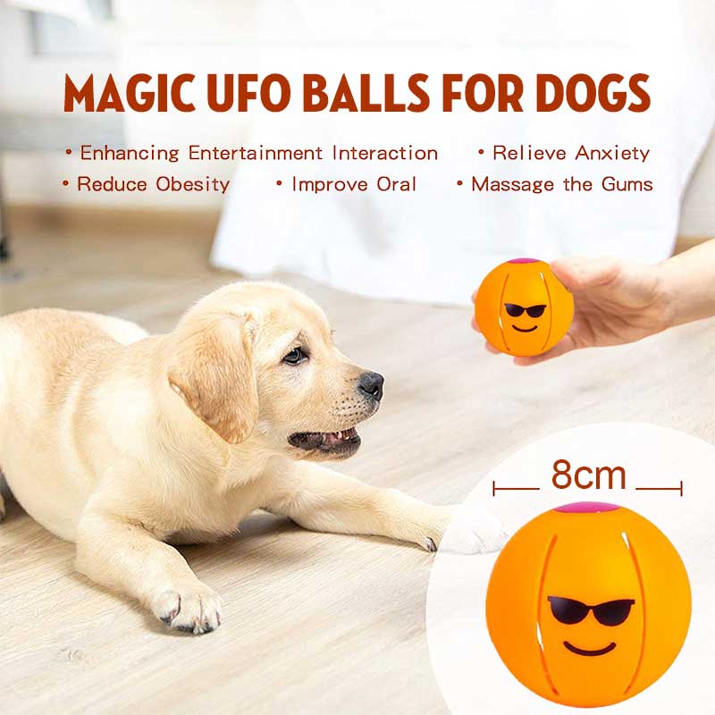 Mini Pet Magic UFO Ball