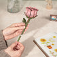 Preserved Flower Wooden Puzzle