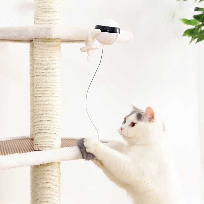 Cat Toy Electric Lifting Ball