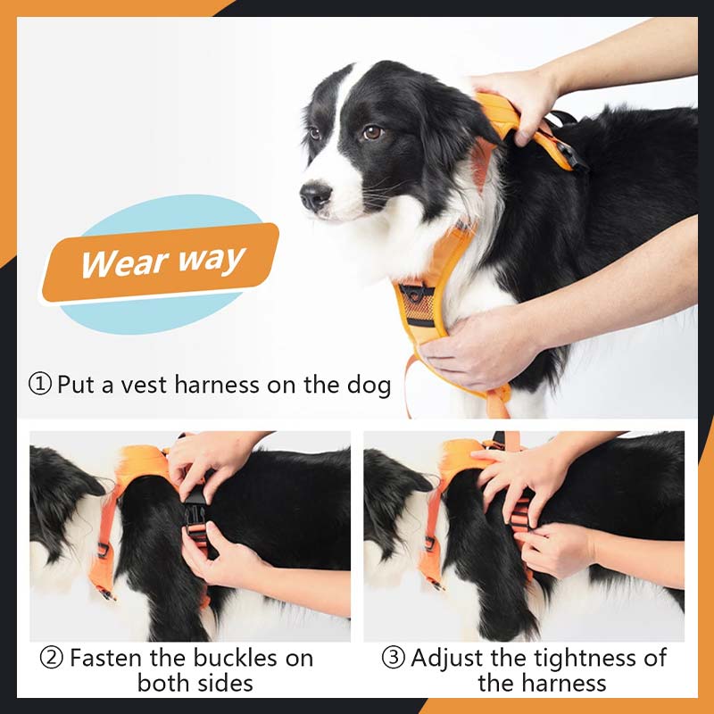 Pet Explosion-Proof Vest Chest And Back Leash