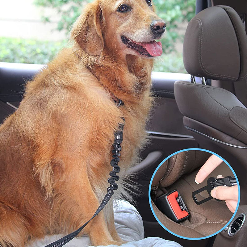 Car Seat Belt Elastic Retractable Reflective Dog Chain