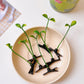 Bean Sprouts Hair Clip Plant Grass Hair Accessories