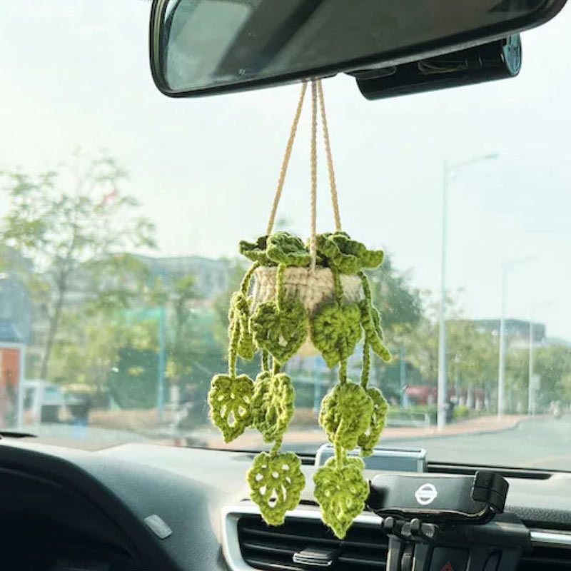 Plant Car Decoration