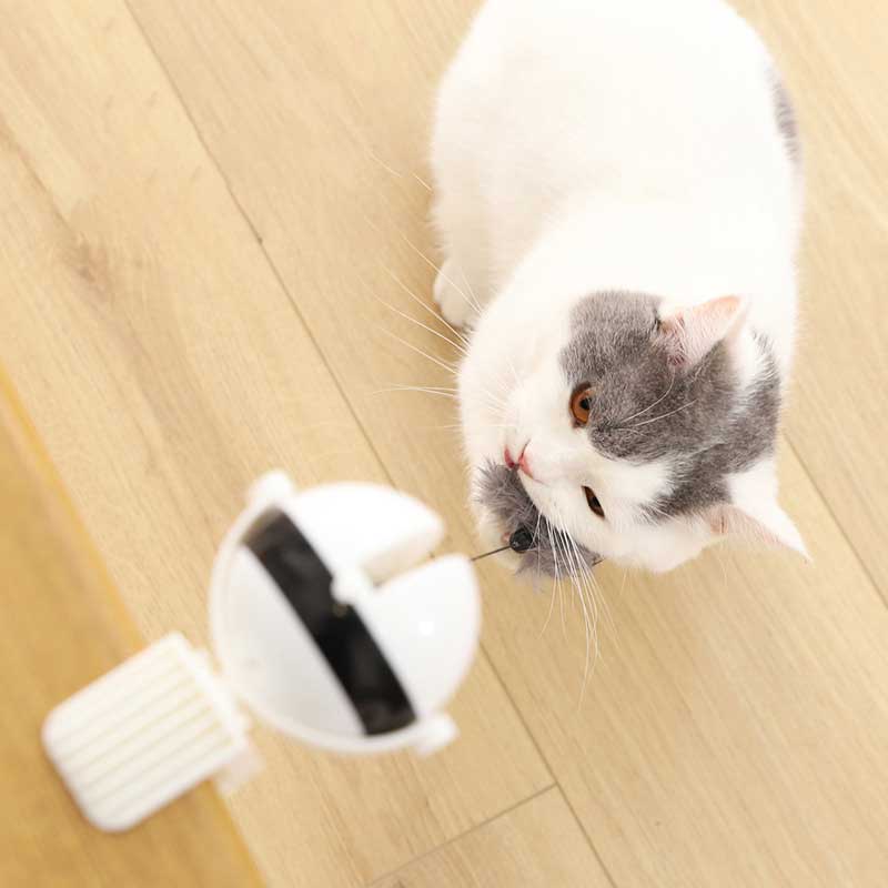 Cat Toy Electric Lifting Ball