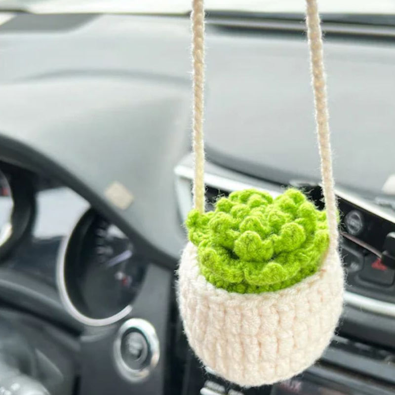 Plant Car Decoration