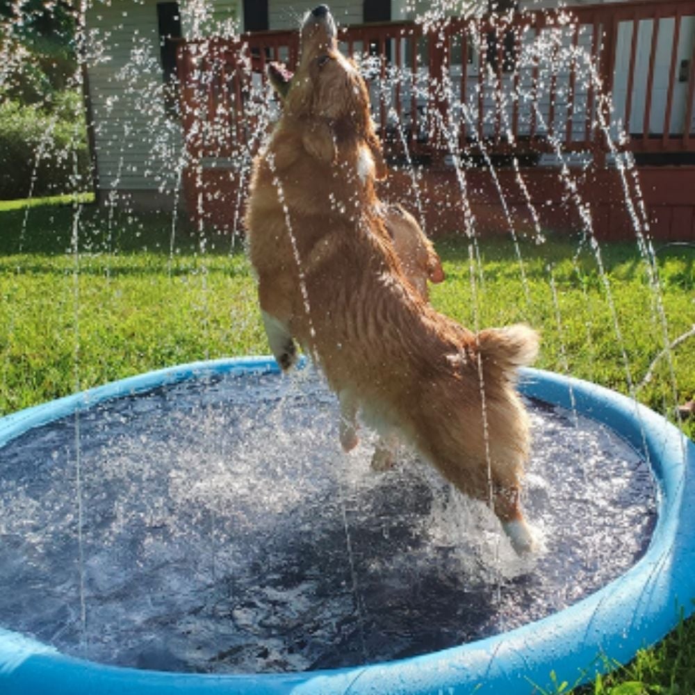 🔥 Non-Slip Splash Pad for Kids and Dog