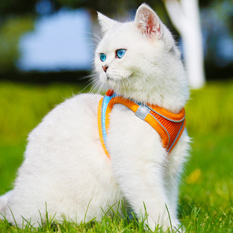 Vest Pet Leash