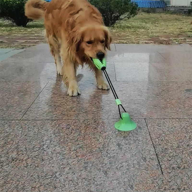 Grinding Sucker Dog Toy