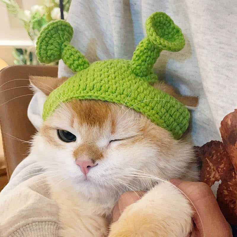 Pets Love Funny Hats