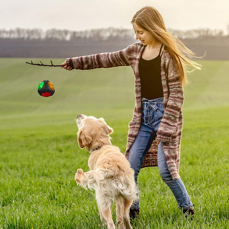 Pet Sound And Light Interactive Training Ball