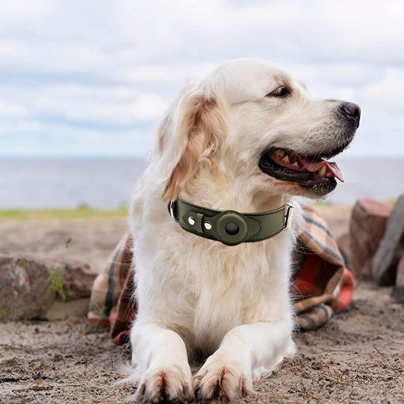 Leather Dog Collar