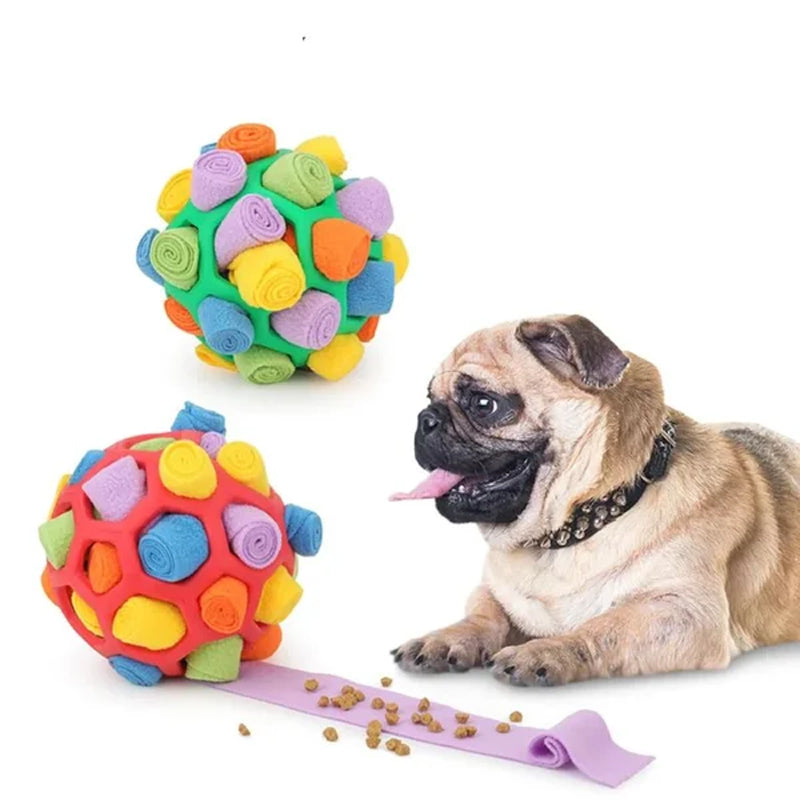 Pet Sniffing Fried Ball Toy