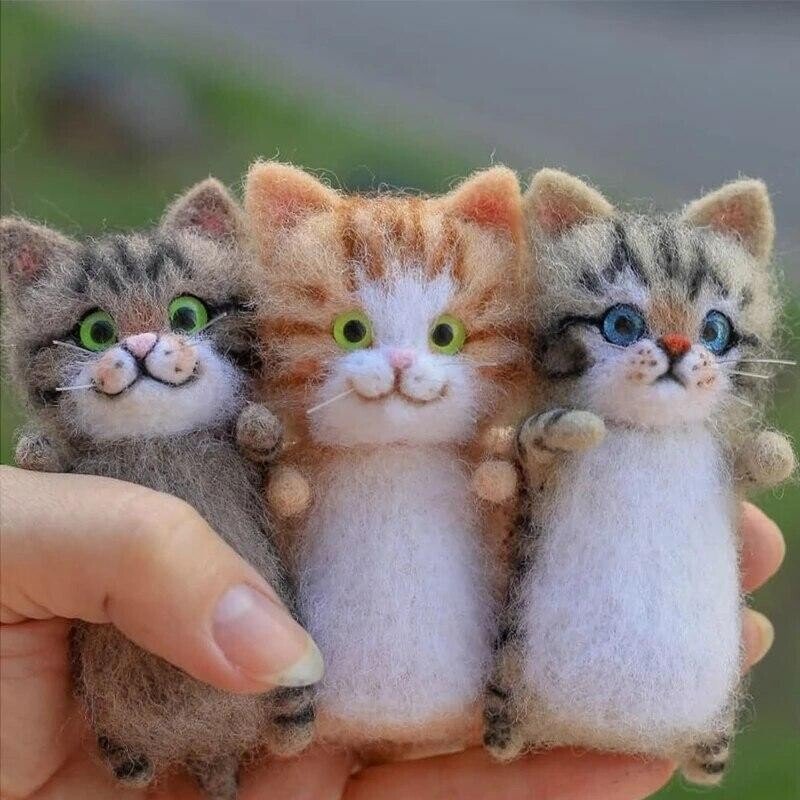 😺Gift for Cat Lovers