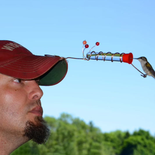 Hummingbird Feeder