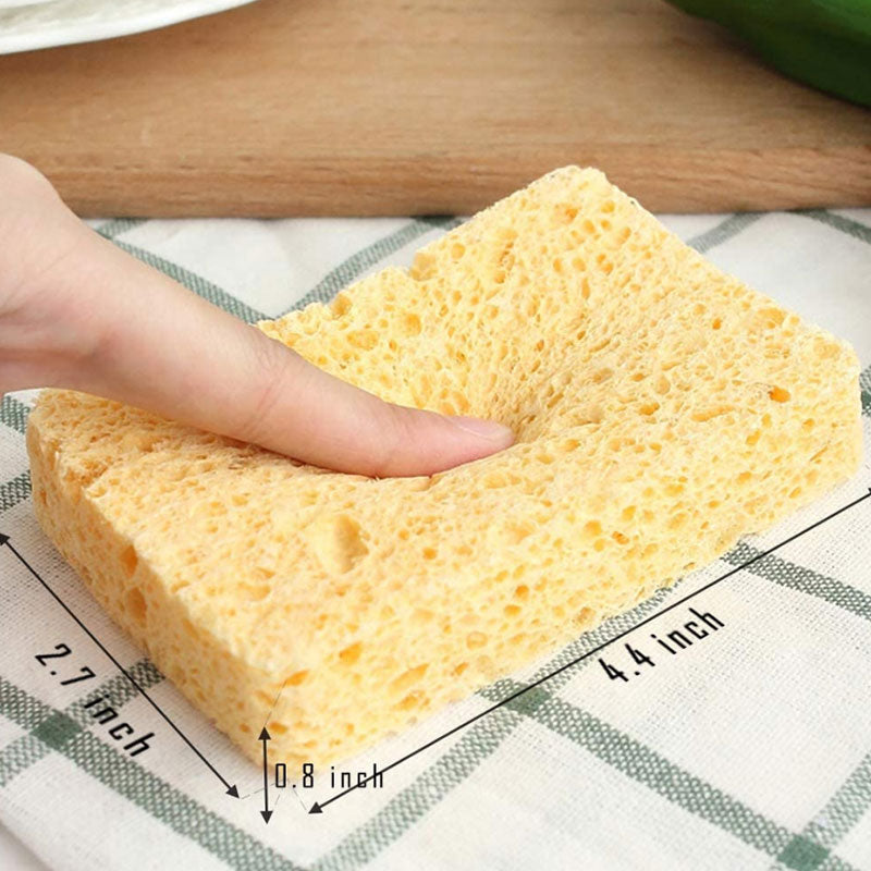 Wood Pulp Sponge