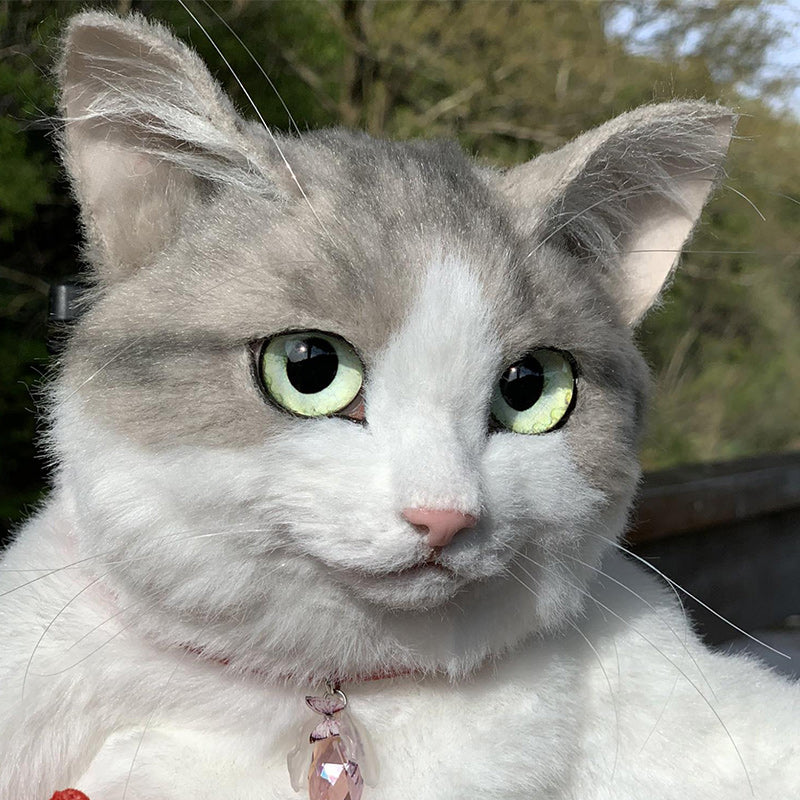 This Cat Backpack Looks Like a Real Live Cat