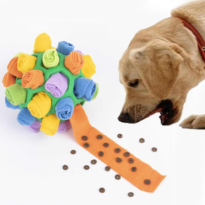 Pet Sniffing Fried Ball Toy