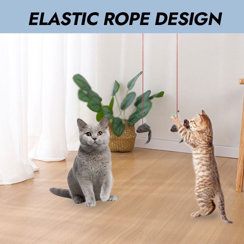 Door Hanging Cat Rope