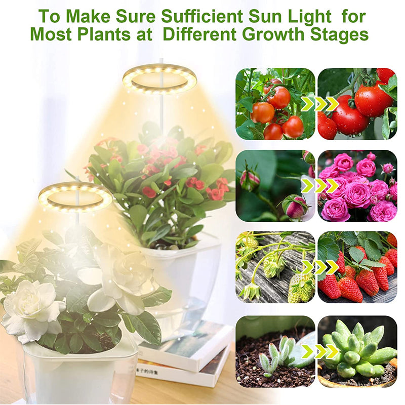 LED Grow Light