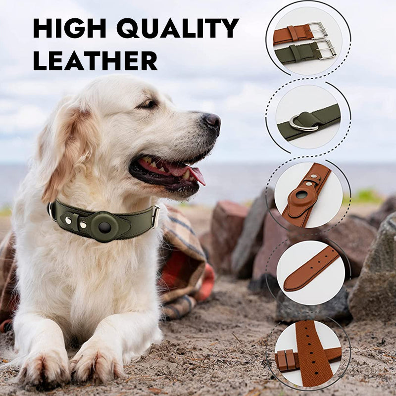 Leather Dog Collar