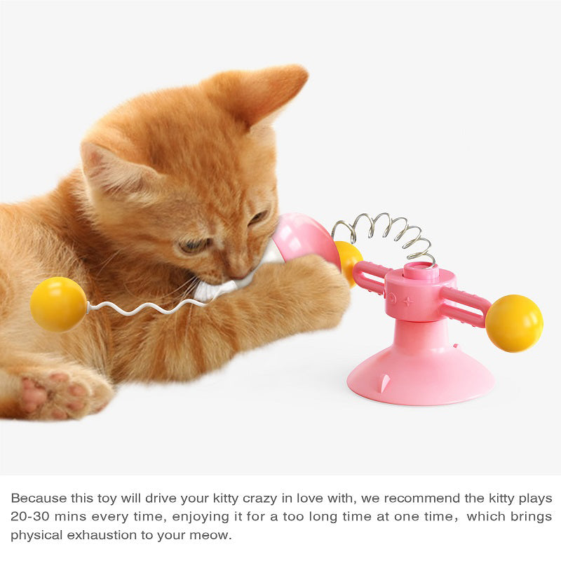 🐱Windmill Interactive Cat Toy