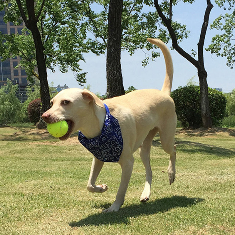 Automatic Interactive Dog Tennis Ball Launcher