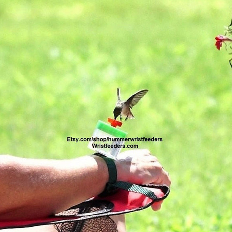 Hummingbird Feeder