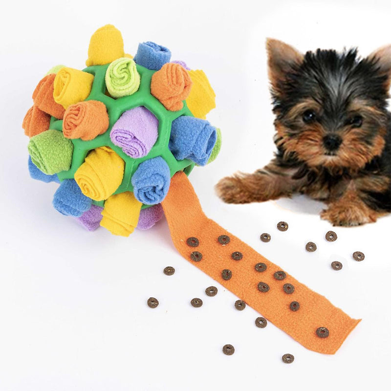 Pet Sniffing Fried Ball Toy