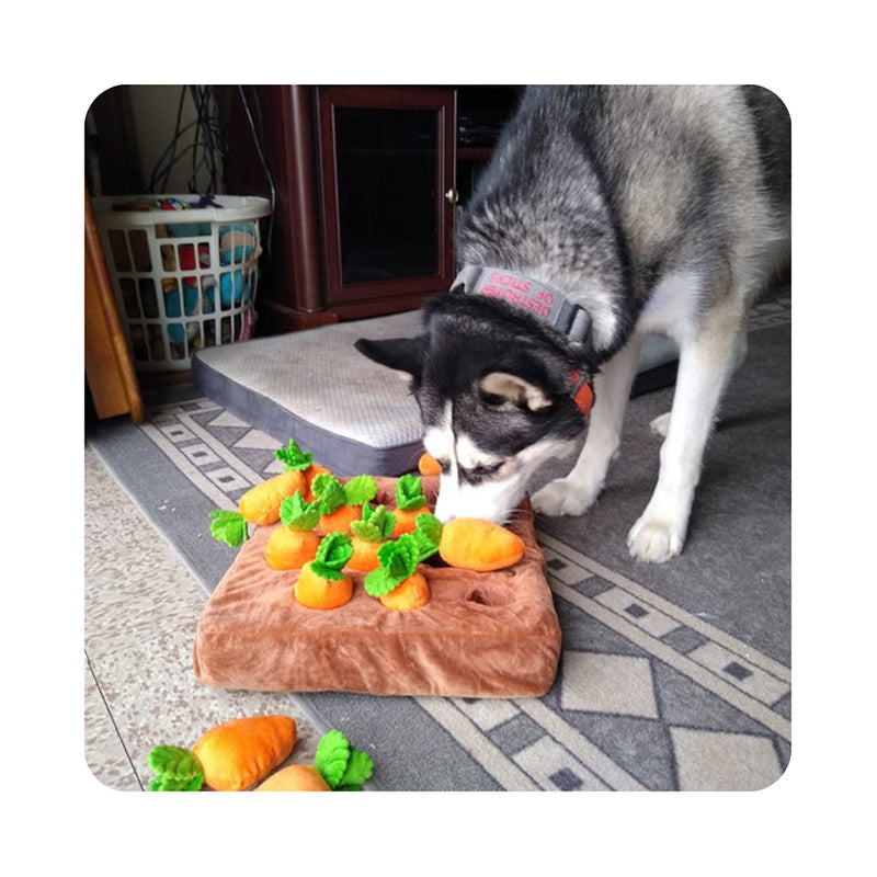 Carrot Plushie - Enriches Your Dog's Life