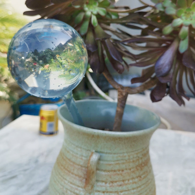 Plant Watering Globes Glass