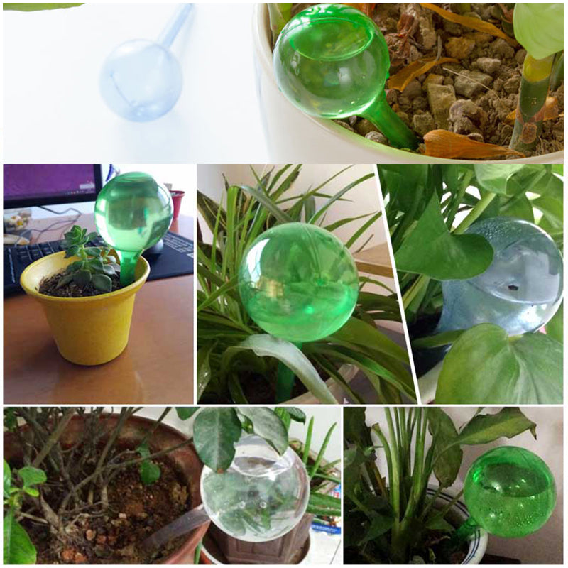 Plant Watering Globes Glass