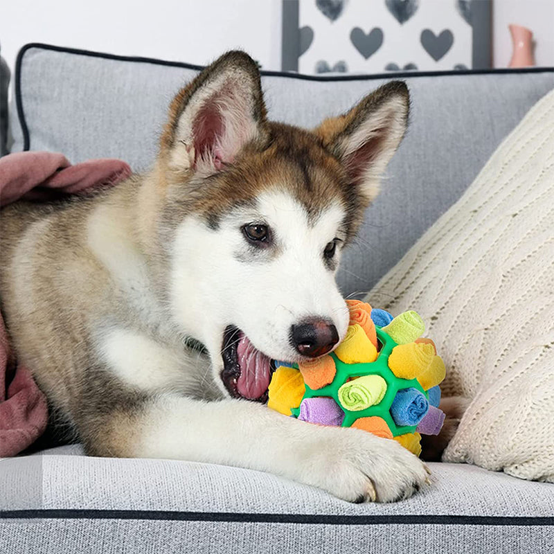 Pet Sniffing Fried Ball Toy