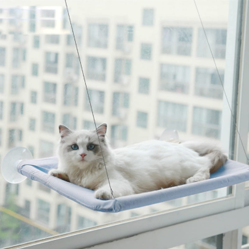 Sucker Cat Hammock