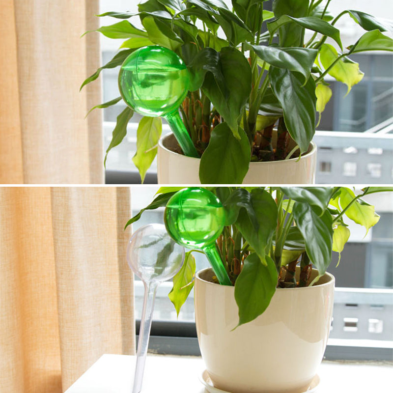 Plant Watering Globes Glass