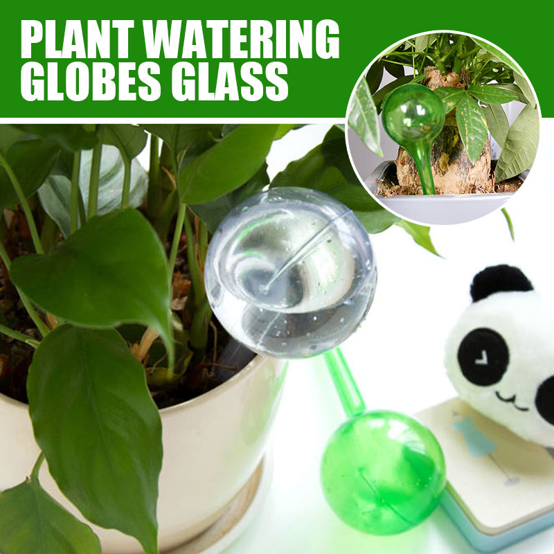 Plant Watering Globes Glass