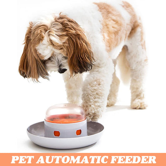 Pet Automatic Feeder