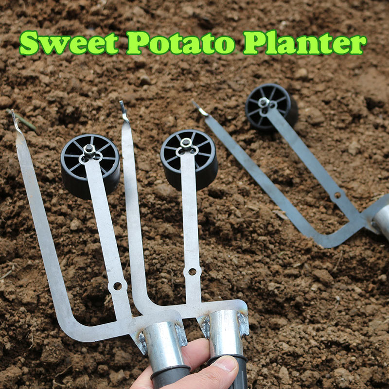 Sweet Potato Planter