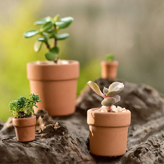 Miniature Ceramic Succulent Pots