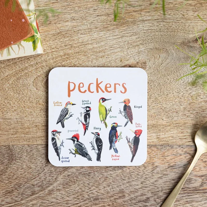 🐦Set of 6 Bird Pun Coasters