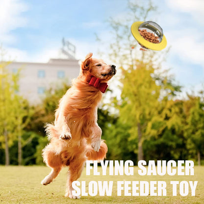 Flying Saucer Slow Feeder Toy